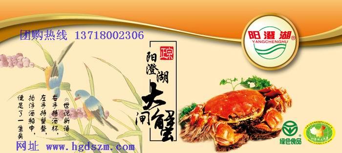 供應(yīng)江蘇陽(yáng)澄湖牌大閘蟹