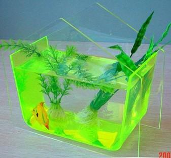 魚(yú)缸多少錢(qián)圖片