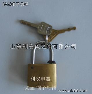 供應(yīng)無棣各種通開電力表箱鎖