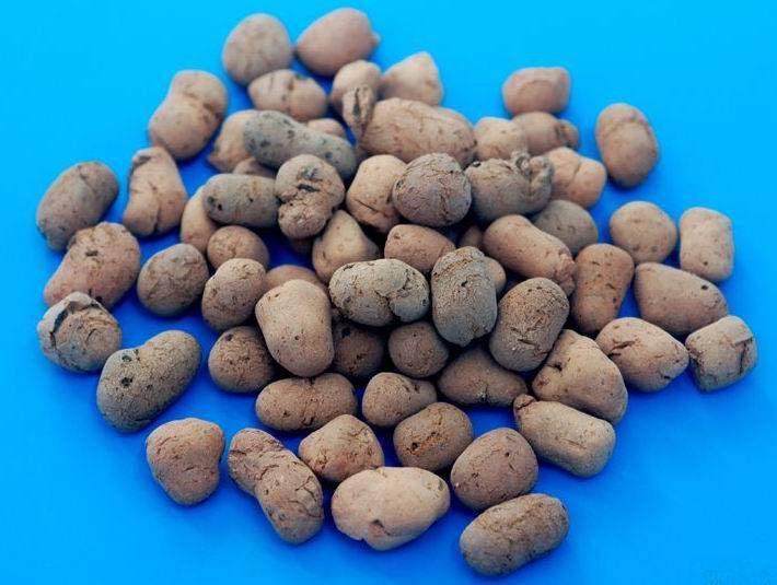 供應(yīng)生物陶粒頁巖陶粒濾料 水處理濾料生物陶粒