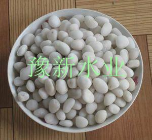 工業(yè)廢水、生活污水的過濾濾料--豫新鵝卵石濾料