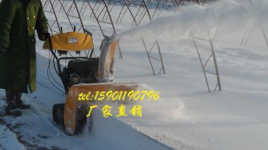 东北专用大棚清雪机图片