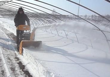 供應(yīng)揚雪機專業(yè)供應(yīng)商，揚雪機生產(chǎn)廠家