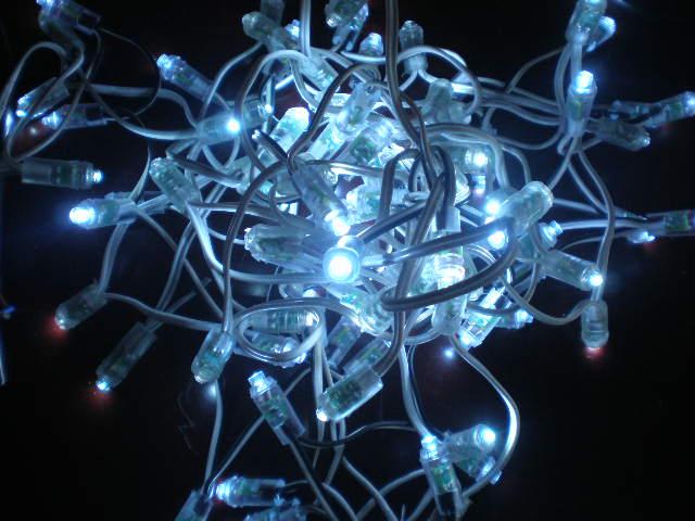 供應(yīng)LED外露燈串、LED外露發(fā)光字