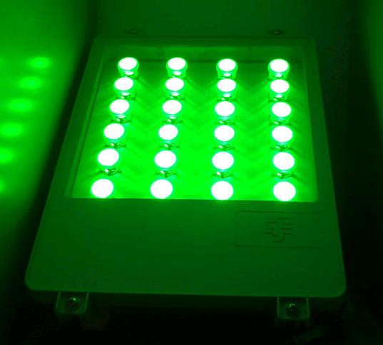 供應(yīng)LED外露燈串、LED外露發(fā)光字