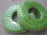 廣州雙菱牌RVS2X1平方電纜圖片