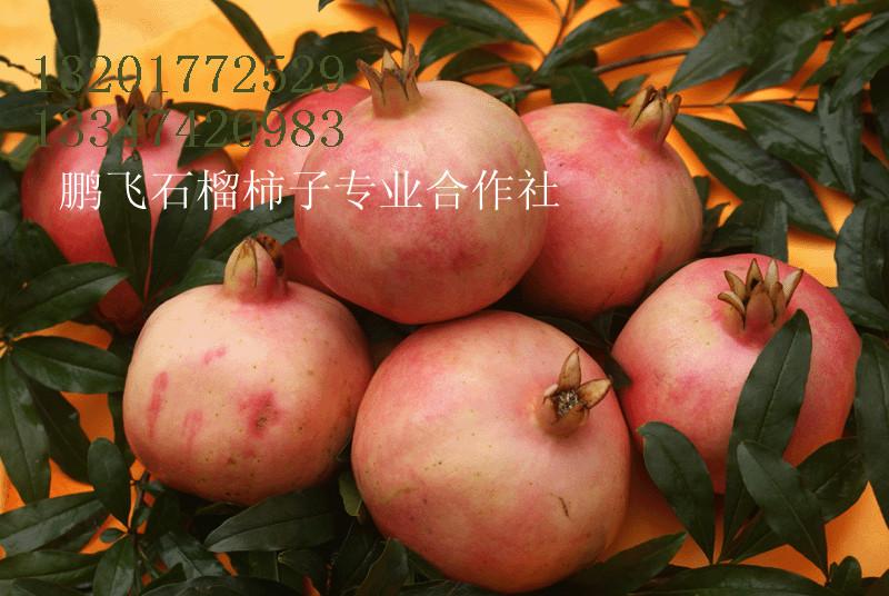 西安臨潼圖片/西安臨潼樣板圖 (2)
