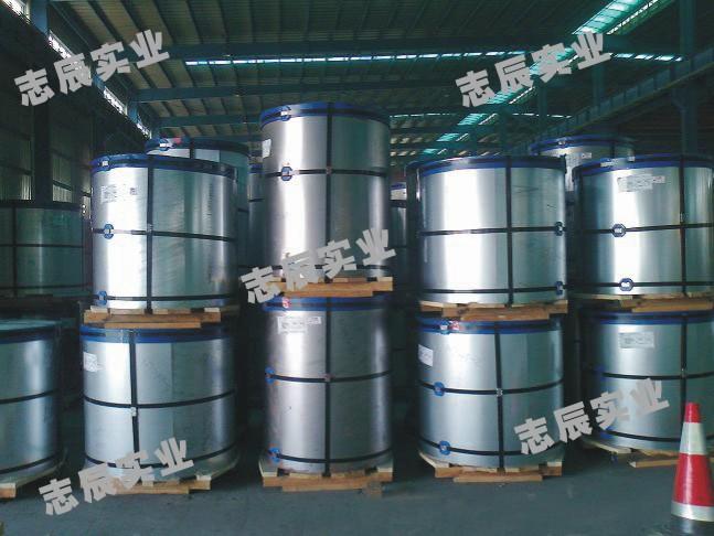 鍍鋁鋅彩涂卷圖片/鍍鋁鋅彩涂卷樣板圖 (3)