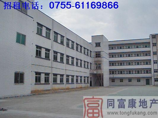 迎大運—公明廠房迎大運公明廠房