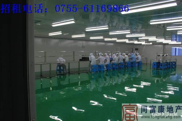 深圳廠房招租（公明獨(dú)院廠房整租分租)深圳廠房招租公明獨(dú)院廠房整租分