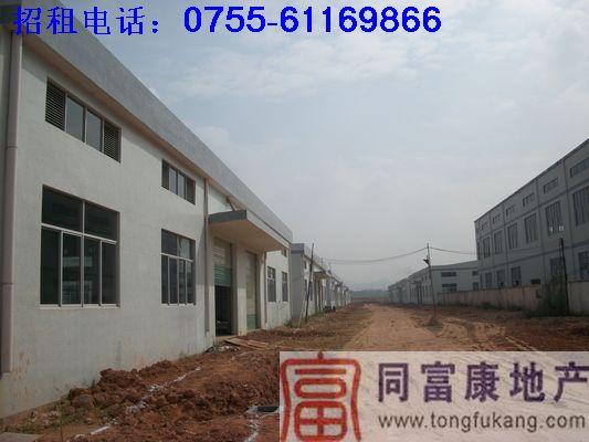 石巖獨(dú)院鋼構(gòu)廠房招租5200平方圖片