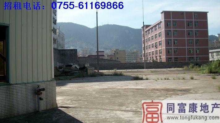 深圳光明新區(qū)鋼結(jié)構(gòu)廠房圖片