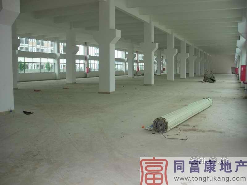 光明一樓廠房招租1200平方