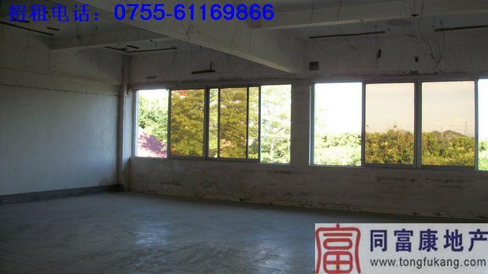 松崗正規(guī)一樓廠房出租