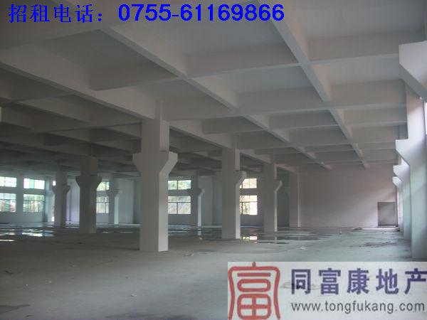 深圳光明一樓1400廠房出租圖片