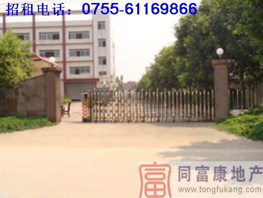 供應松崗全新獨院廠房出租