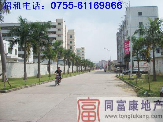 光明新區(qū)花園式廠房招租圖片