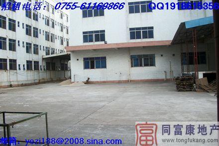 石巖二樓710平方帶裝修廠房出租圖片