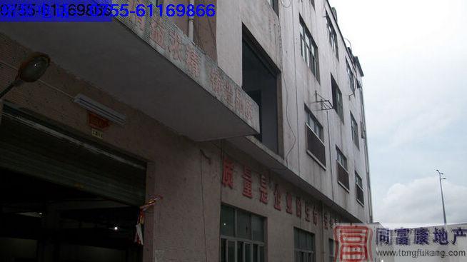 松崗全新廠房招租圖片