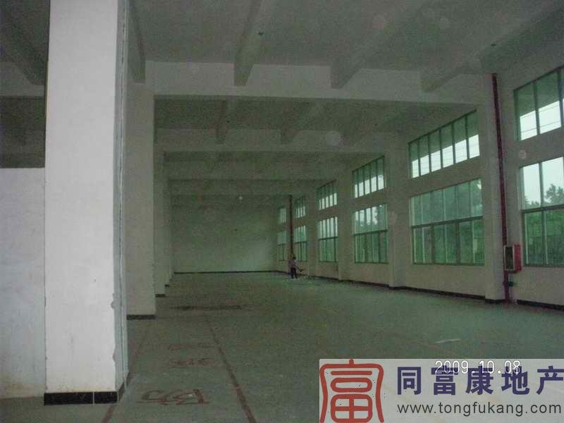 供應(yīng)公明松柏路邊一樓800平方廠房招