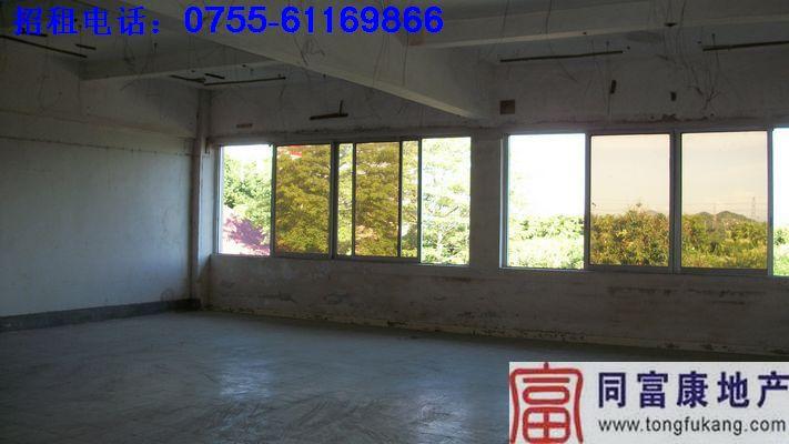 松崗正規(guī)一樓廠房出租