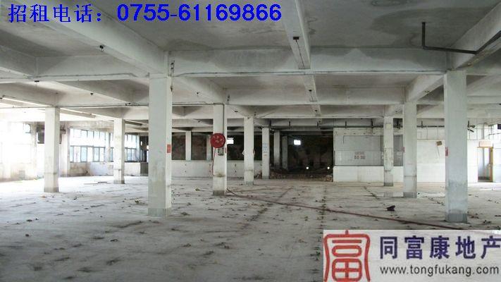 供應(yīng)寶安石巖廠房招租