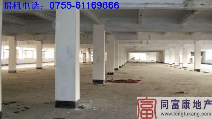 公明廠房圖片/公明廠房樣板圖 (2)