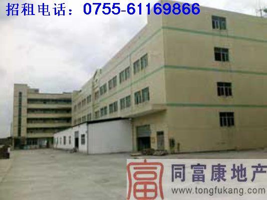 供應(yīng)大量公明廠房招租