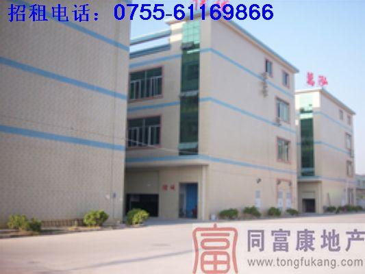 松崗全新獨(dú)院廠房出租圖片