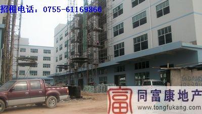 供應(yīng)石巖民營科技園廠房招租