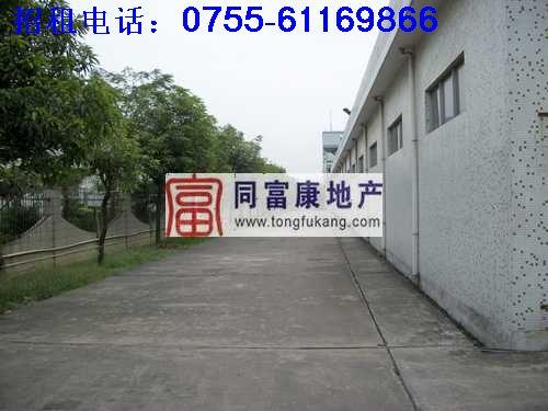 供應(yīng)公明獨(dú)院鋼結(jié)構(gòu)廠房招租—寶安廠房公明獨(dú)院鋼結(jié)構(gòu)廠房招租寶安廠房