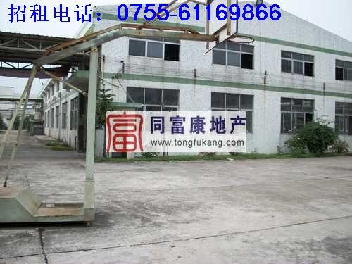 深圳公明獨院鋼構廠房招租—深圳廠房深圳公明獨院鋼構廠房招租深圳廠