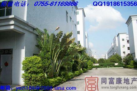 寶安石巖精裝修廠房招租圖片