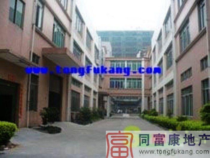 6030公明獨(dú)院廠房招租圖片