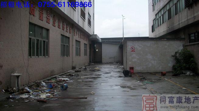 廠房招租圖片/廠房招租樣板圖 (4)