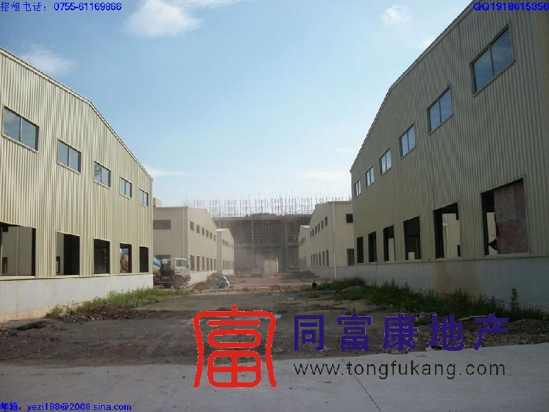 供應(yīng)松崗3萬平米首層7米高標準廠房