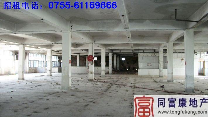 寶安松崗全新獨院廠房招租圖片