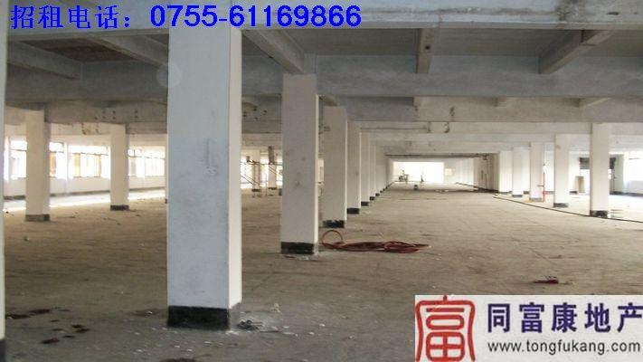 寶安松崗全新電鍍廠房招租圖片