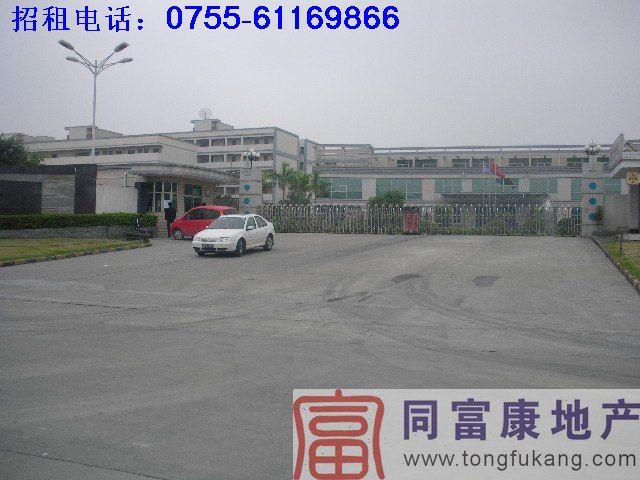 公明西田獨(dú)院廠房招租圖片