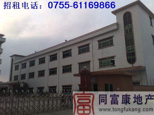 供應(yīng)松崗燕川廠房出租