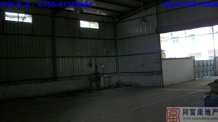 公明獨(dú)院鐵皮廠房招租—廣東深圳廠房公明獨(dú)院鐵皮廠房招租廣東深圳廠