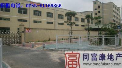 廣東深圳松崗圖片/廣東深圳松崗樣板圖 (2)