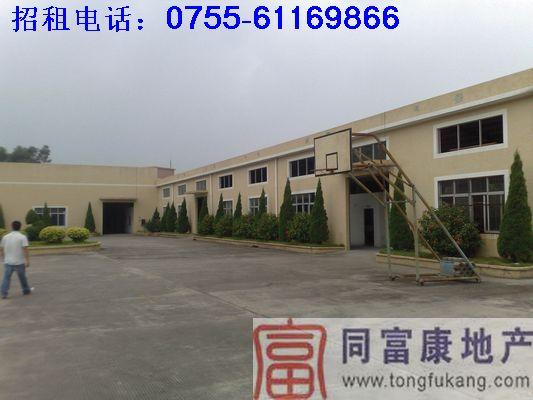 寶安石巖鋼構(gòu)廠房招租(石巖廠房）寶安石巖鋼構(gòu)廠房招租石巖廠房