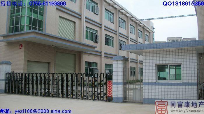 供應(yīng)松崗全新獨門獨院廠房租賃