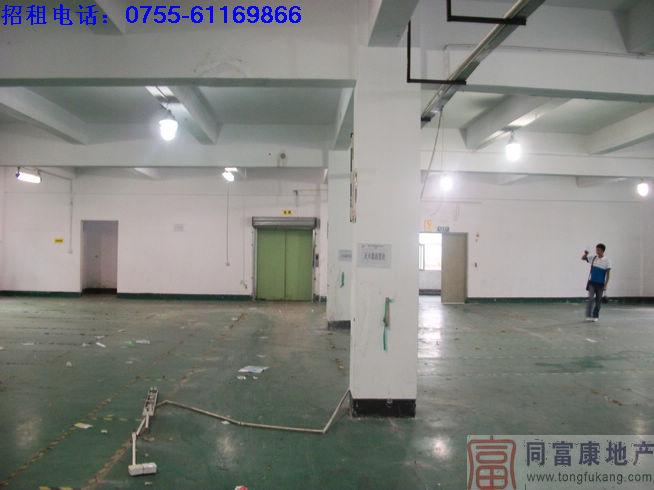 供應廠房出租光明*