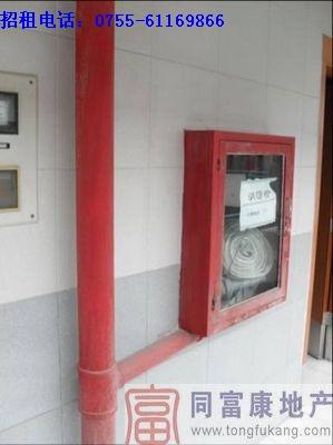 松崗獨院廠房16000平方招租