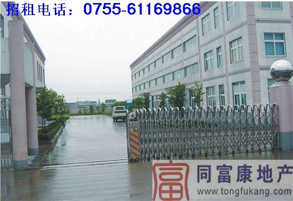 供應廠房出租光明*