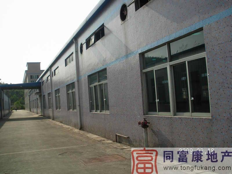 公明鎮(zhèn)820平方米鋼結(jié)構(gòu)廠房圖片