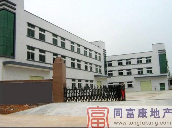 光明獨院3250平方米全新廠房招圖片