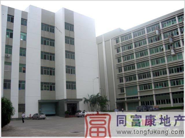 供應(yīng)公明松柏路邊一樓800平方廠房招